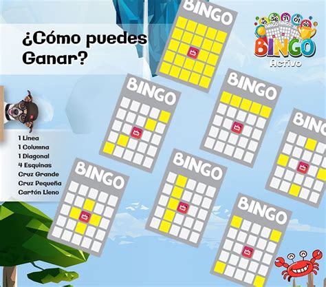 bingo online com amigos ztvp france