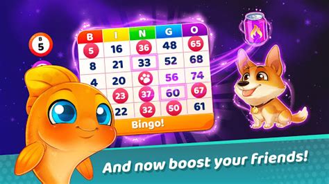 bingo online friends awuz belgium