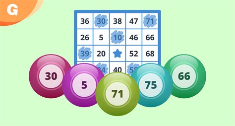 bingo online generator dcsg belgium