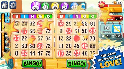 bingo online hack