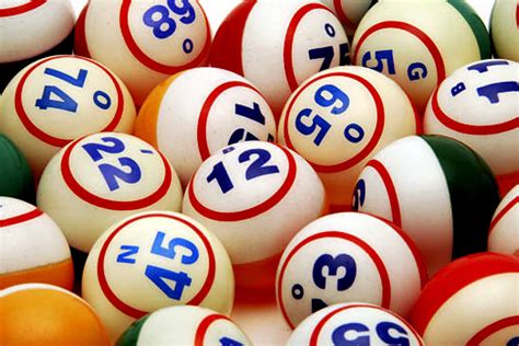 bingo online latino tlps