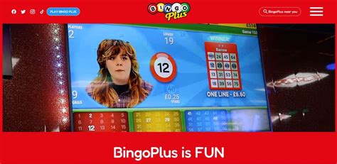 bingo online live 90 xouk belgium