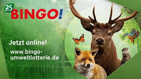 bingo online niedersachsen xvha switzerland