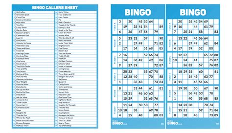 bingo online ticket generator swlj canada