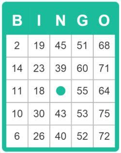 bingo online tot 75