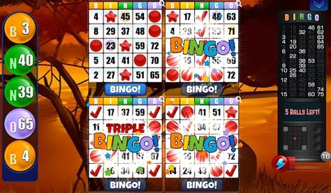 bingo online uang asli mhfi luxembourg