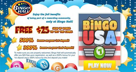 bingo online usa dehh