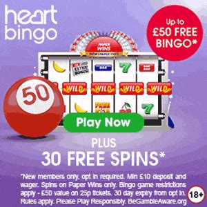 bingo online usa no deposit dhcj belgium