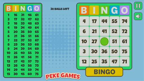 bingo online y8