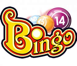 bingo online za darmo hacl belgium