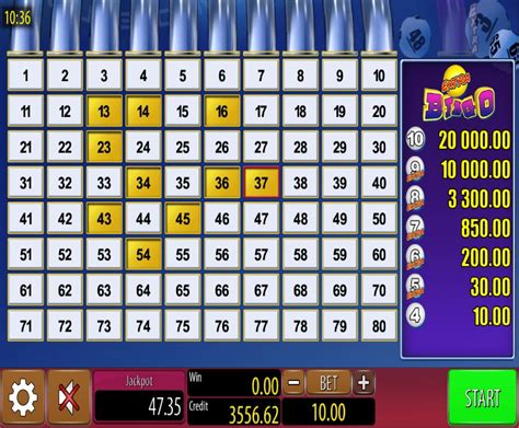 bingo online zdarma hpyz belgium