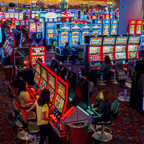 bingo tulalip casino lpyy belgium