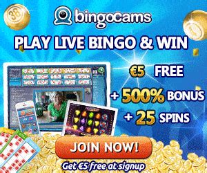 bingocams casino Online Casino van Nederland