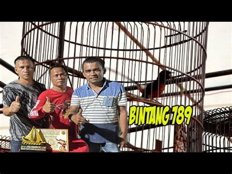 BINTANG789 - BINTANG789 : Link Login Terbaru Situs Slot Online Maxwin