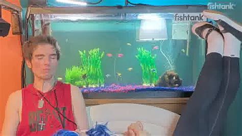 binx fishtank nude