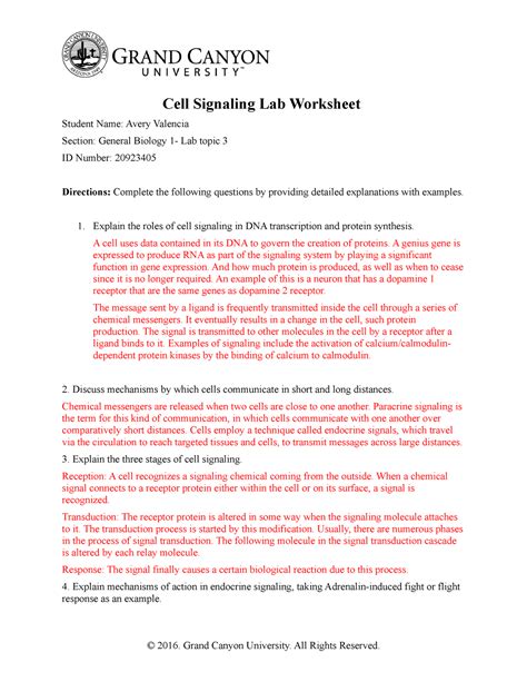 Bio 181l Rs Cell Communication Wksht 1 Cell Cell Communication Worksheet Answers - Cell Communication Worksheet Answers