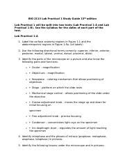 Bio 2113 Lab Study Guide