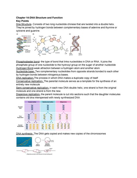 Bio Ch 14 Study Guide Answers