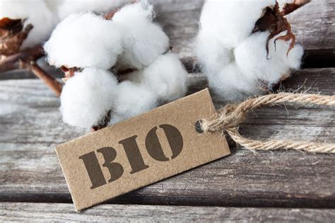 bio cotton