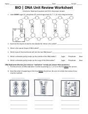 Bio Dna Unit Review Answer Key