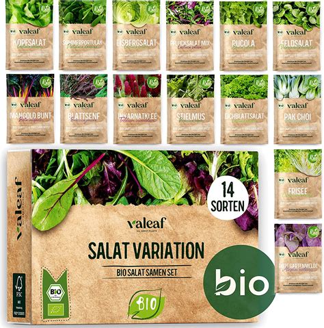 bio salat preis