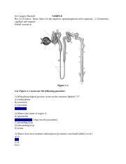 Read Online Bio 121 Final Exam Study Guide Answers 