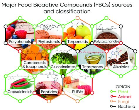 Bioactive Compounds From Natural Sources Second Edition Natural Products As Lead Compounds In Drug Discovery