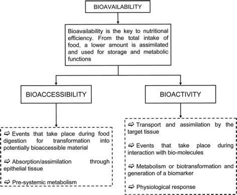 bioavailability ne demeks