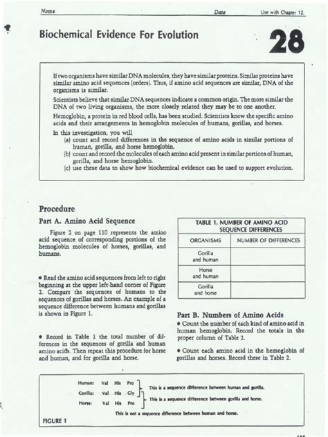 Biochemical Evidence For Evolution Lab 12 Answer Key