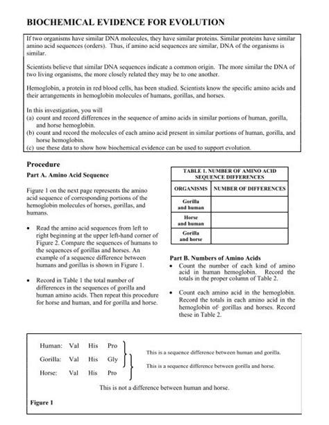 Biochemical Evidence For Evolution Worksheet