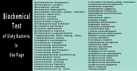 Biochemical Tests For Identification Of Medical Bacteria
