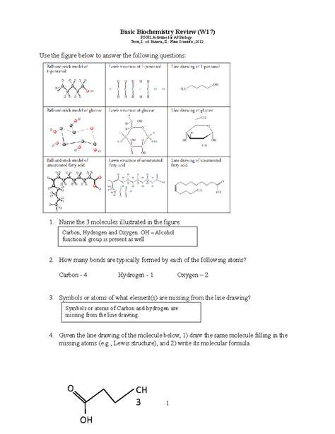 biochemistry basics pogil activities for ap biology