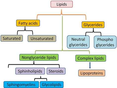 Download Biochemistry Lipid Mcq 