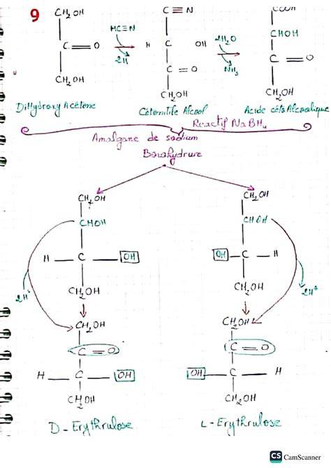 biochimie structurale et ma c tabolique