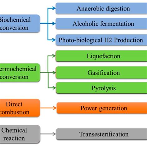 Biodiesel Chemistry Formula