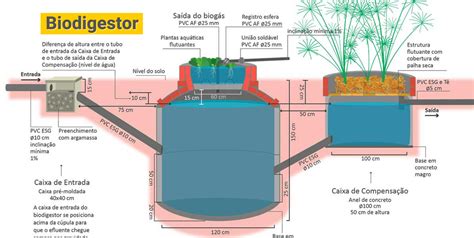 Biodigestor Como Funciona
