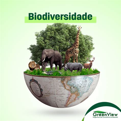 biodiversidade-4