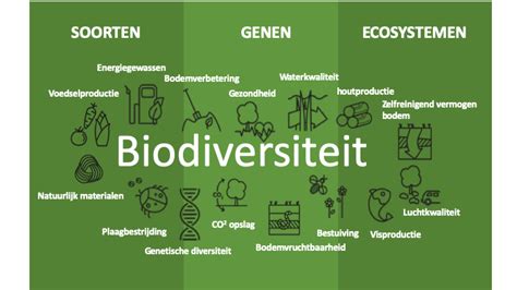 biodiversiteit bedreiging