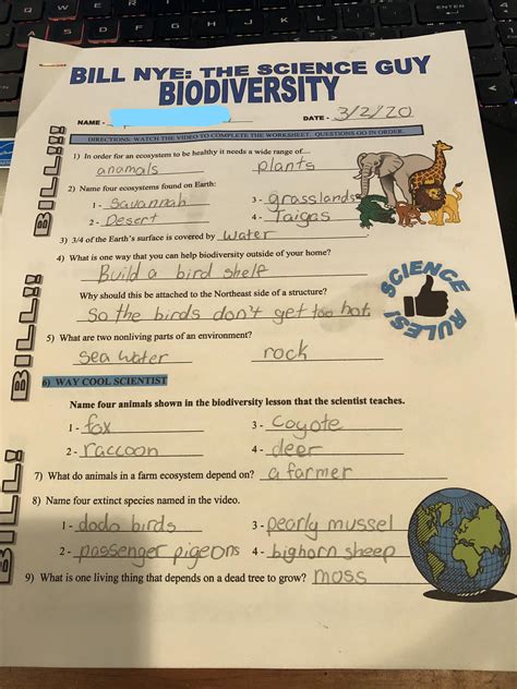 Biodiversity Activity Worksheet   Bill Nye Biodiversity Worksheet Answers - Biodiversity Activity Worksheet