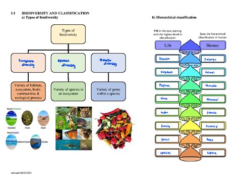Biodiversity And Classification