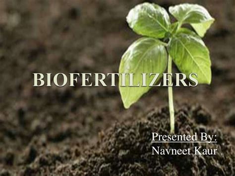 biofertilizer ppt for mac