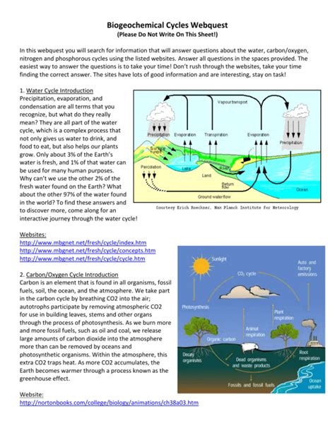 Biogeochemical Cycle Webquest