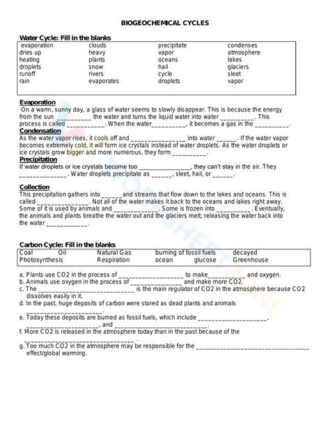 Biogeochemical Cycle Worksheet