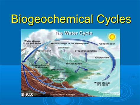Biogeochemical Cycles A Detailed Overview Byjuu0027s Cycle In Science - Cycle In Science