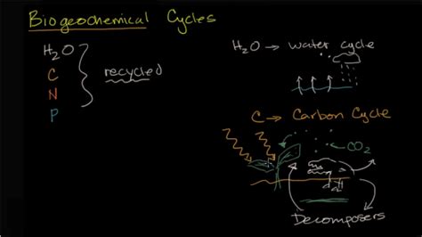 Biogeochemical Cycles Review Article Khan Academy Biogeochemical Cycles Worksheet Key - Biogeochemical Cycles Worksheet Key