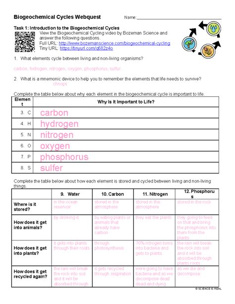 Biogeochemical Cycles Webquest
