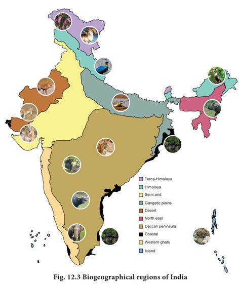 Biogeographical Classification Of India
