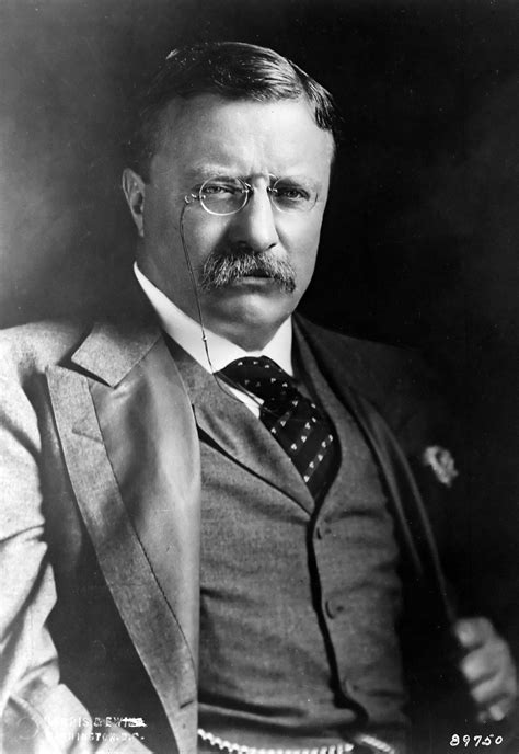 biographies of theodore roosevelt