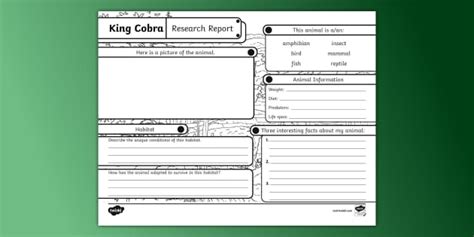 biography 3rd grade project cobra