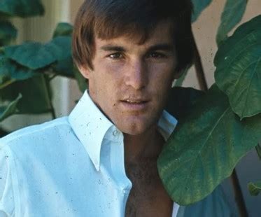 biography dennis wilson